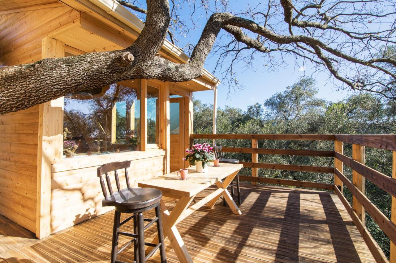 Romantic Tree House Kato Pavliana Zewnętrze zdjęcie