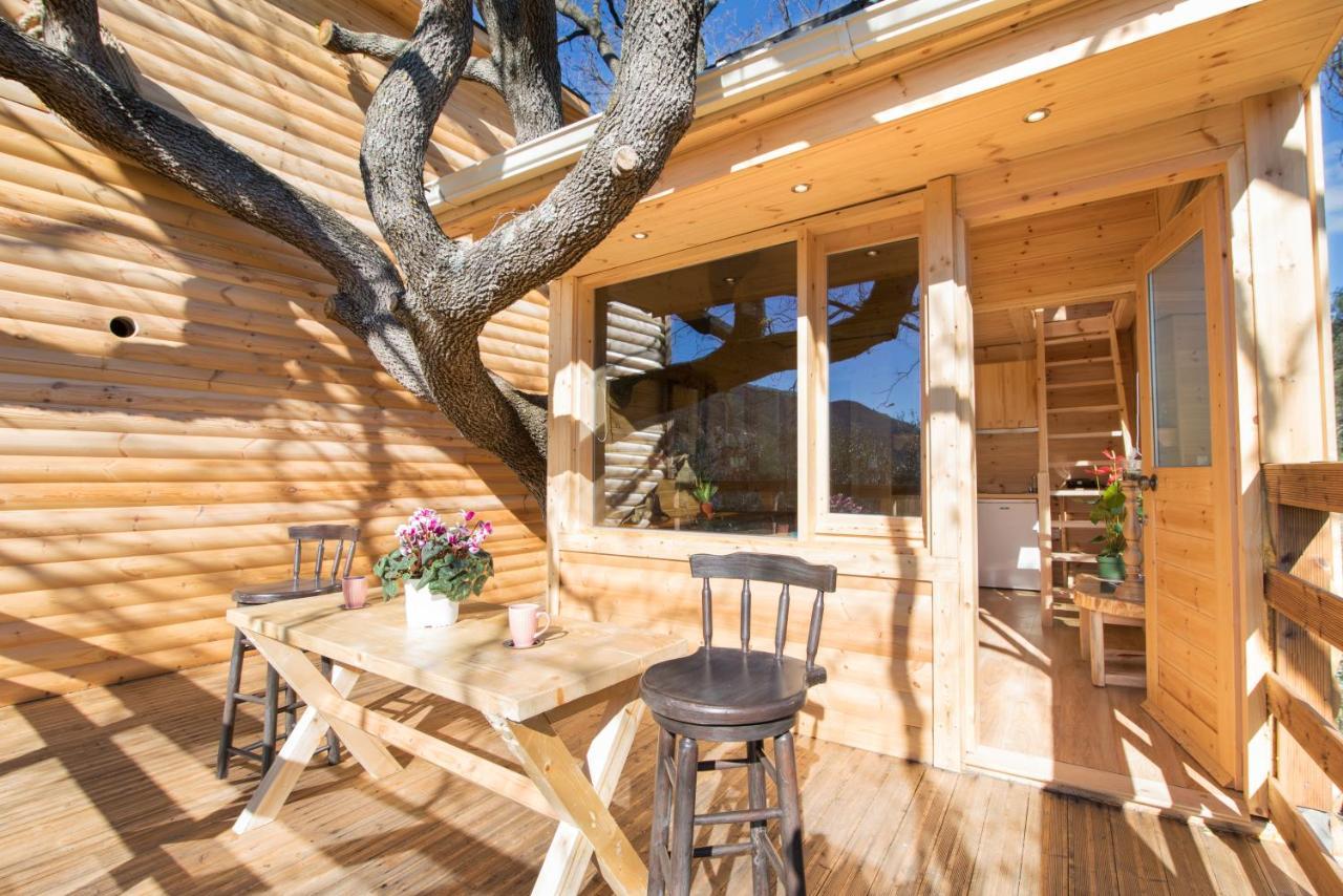 Romantic Tree House Kato Pavliana Zewnętrze zdjęcie