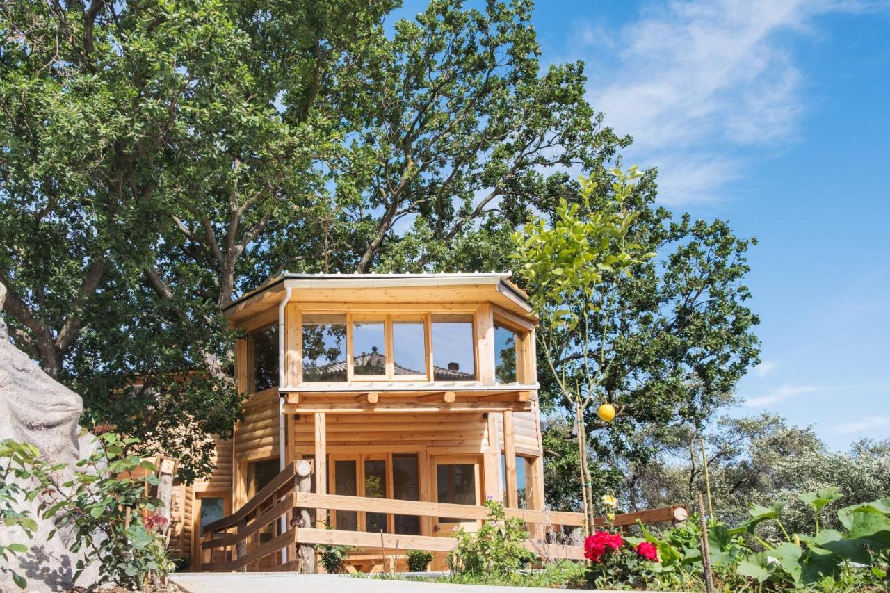 Romantic Tree House Kato Pavliana Zewnętrze zdjęcie
